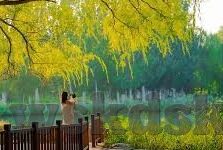 91麻豆精品国产在线-解锁本土视界，探索91麻豆精品国产在线的独特魅力