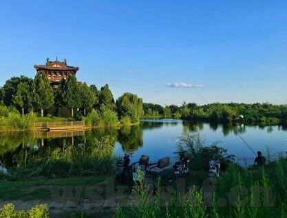 不戴胸罩去倒垃圾中文字幕-自由呼吸，不戴胸罩去倒垃圾的微妙日常