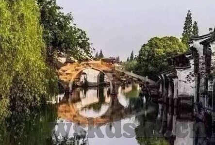 含羞草麻豆传媒-自然与人性的交融 —— 含羞草的奥妙与麻豆传媒的启示