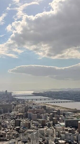 麻豆传媒成人-麻豆传媒，成年人的视觉艺术与界限探寻