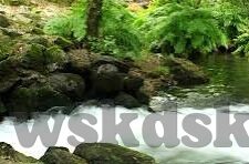 糖心vlog现在时间入口-糖心Vlog，探秘当下的时尚生活记录新领地