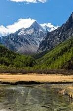 在线视频播放免费麻豆-免费的在线视频，麻豆之乐的广阔天地