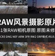 最新中文字幕无线码-探索最新中文字幕无线码的魅力与影响